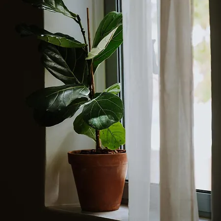 Apartmán Leoni's House Near The