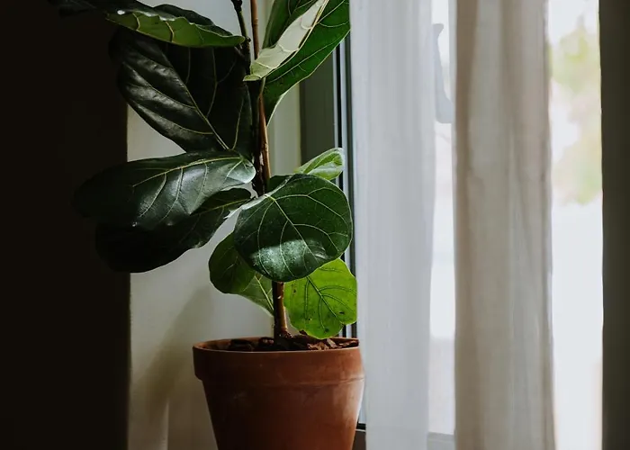 アパート Leoni's House Near The